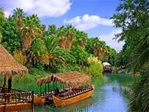 Lima Iquitos desde $82