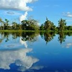 Lima P.Maldonado desde$99