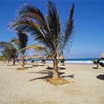 Lima Tumbes desde $106